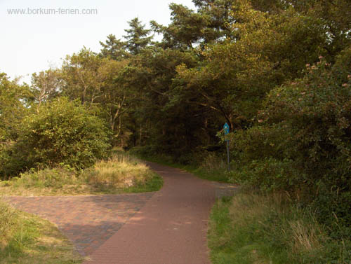 Borkum Greune Stee01